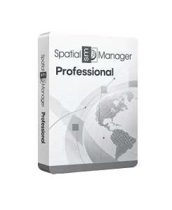 Spatial Manager Professional
