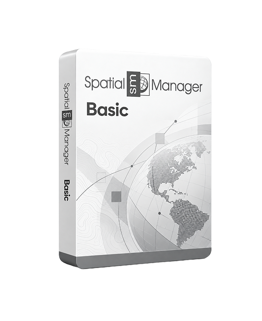 Spatial Manager Basic