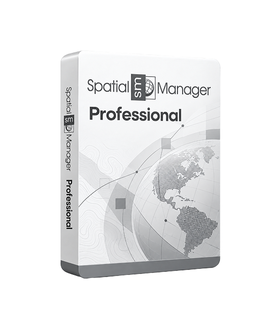 Spatial Manager Professional